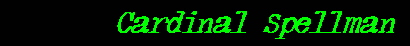 Cardinal Spellman
