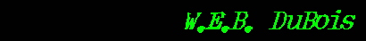 W.E.B. DuBois